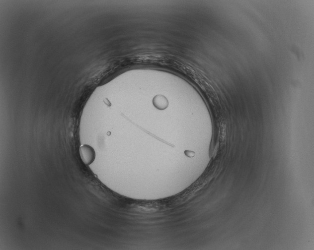 X0000116310567200912291453