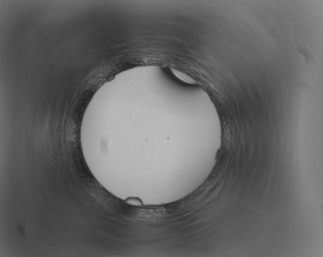 X0000116310571200912291453