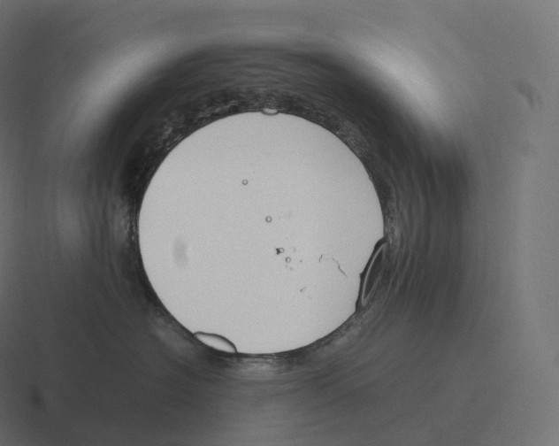 X0000116310574200912291453