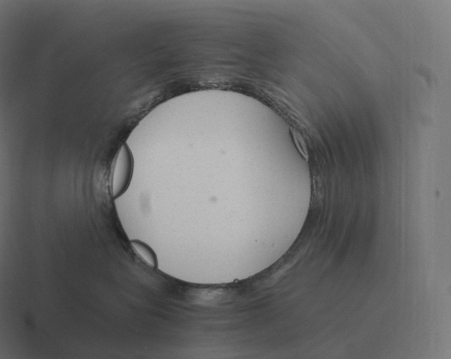 X0000116310575200912291453