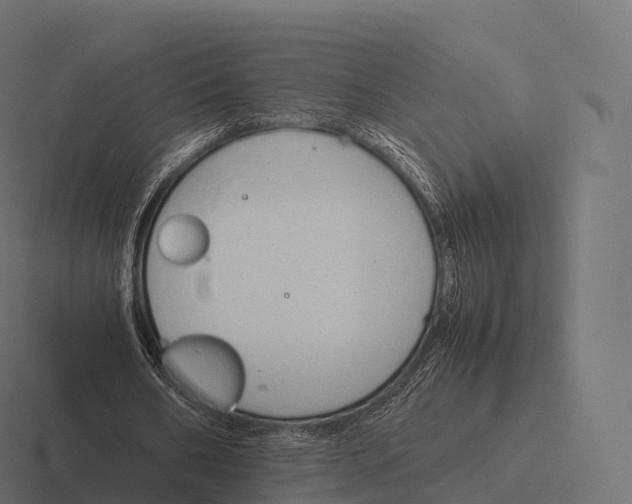 X0000116310578200912291453