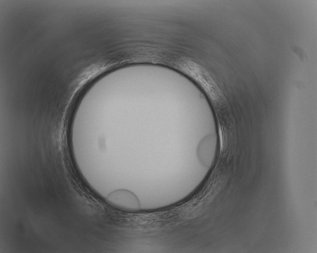 X0000116310579200912291453