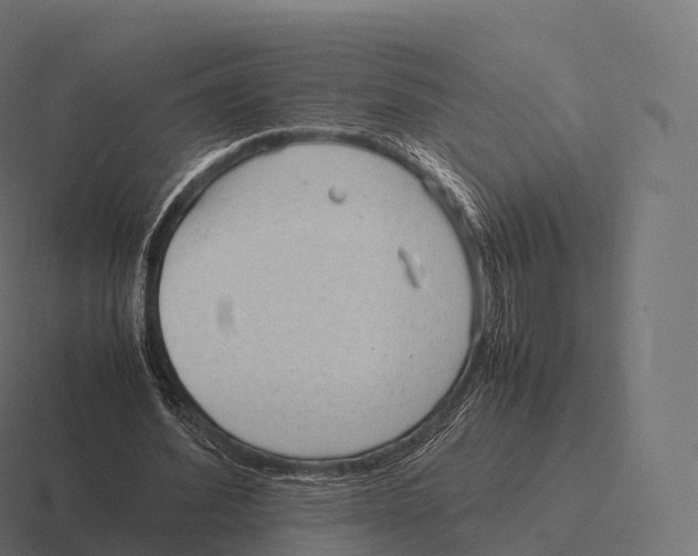 X0000116310580200912291453