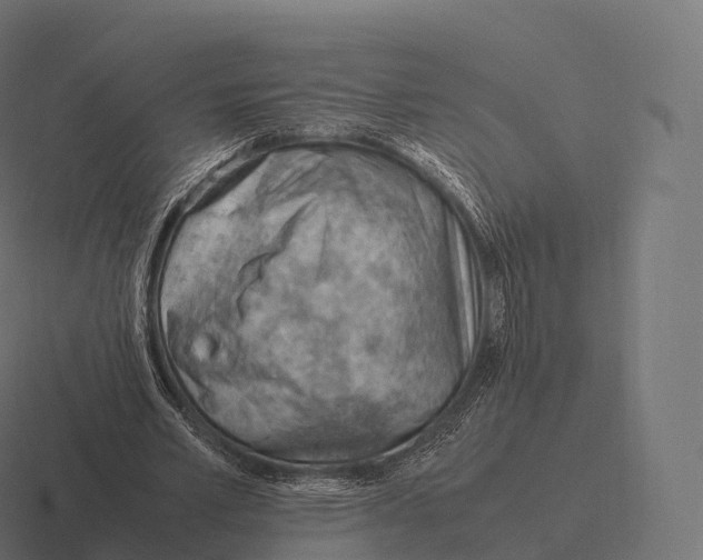 X0000116310581200912291453