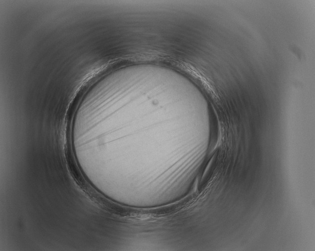 X0000116310582200912291453