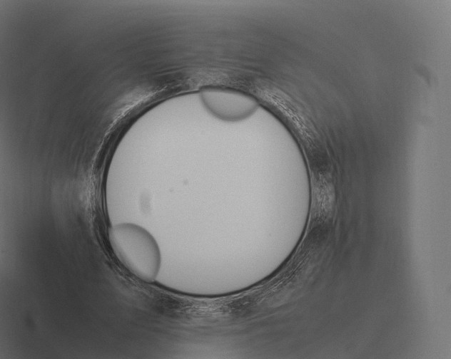 X0000116310583200912291453