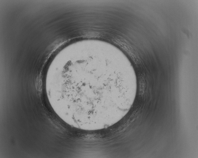 X0000116310584200912291453