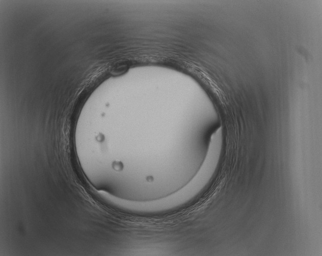 X0000116310585200912291453