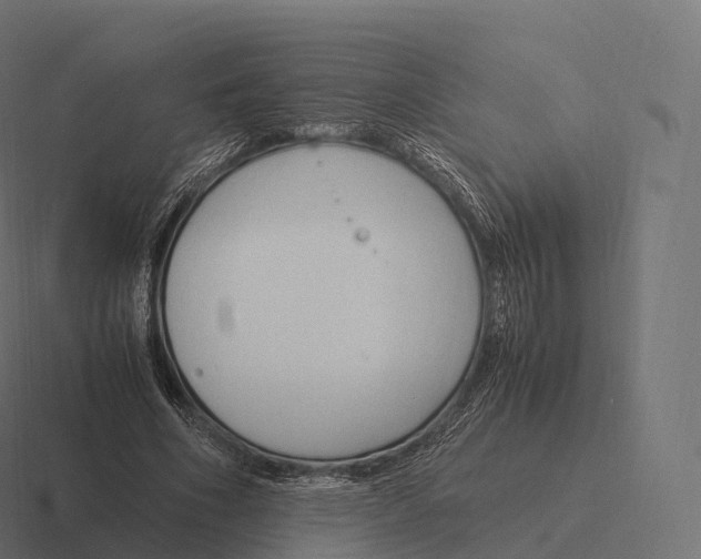 X0000116310586200912291453