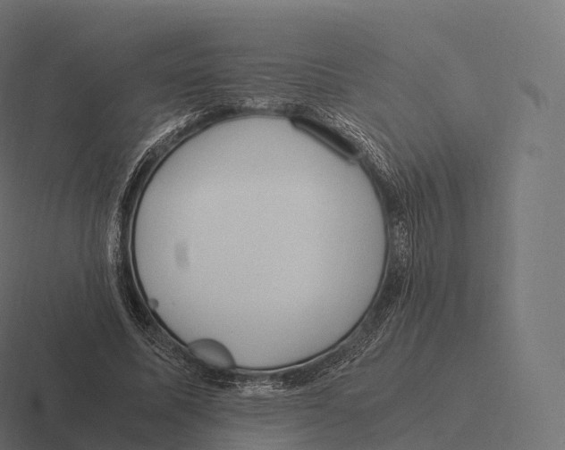 X0000116310587200912291453