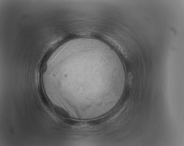 X0000116310589200912291453