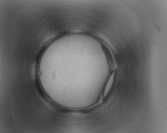 X0000116310590200912291453