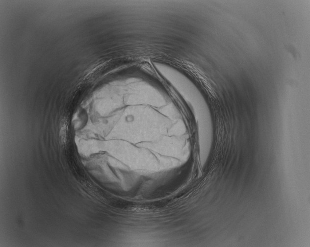 X0000116310596200912291452