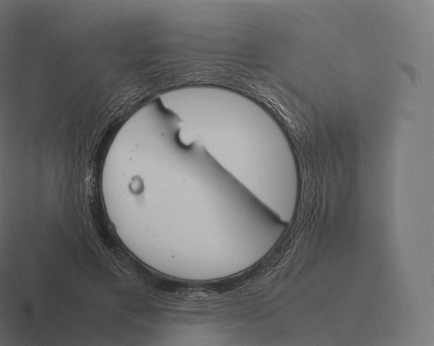 X0000116310597200912291452