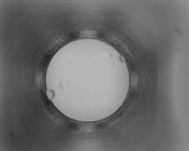 X0000116310599200912291452