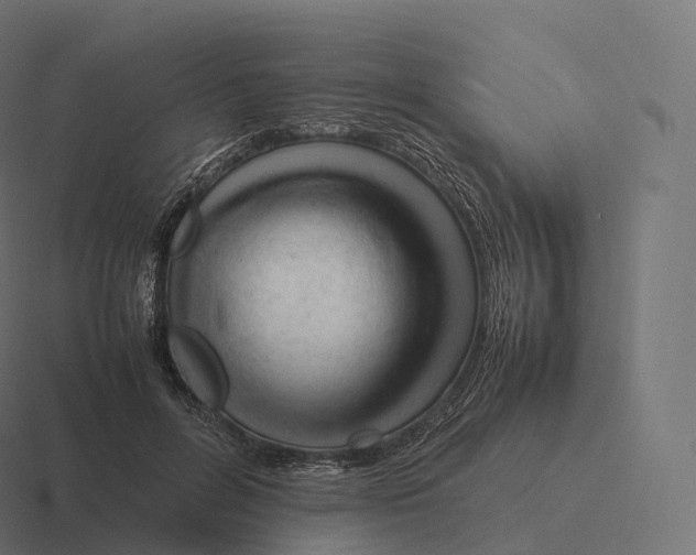 X0000116310600200912291452