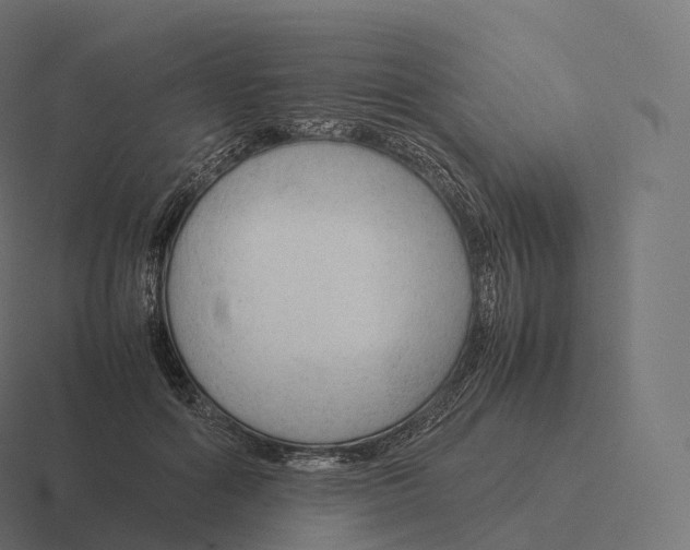 X0000116310602200912291452