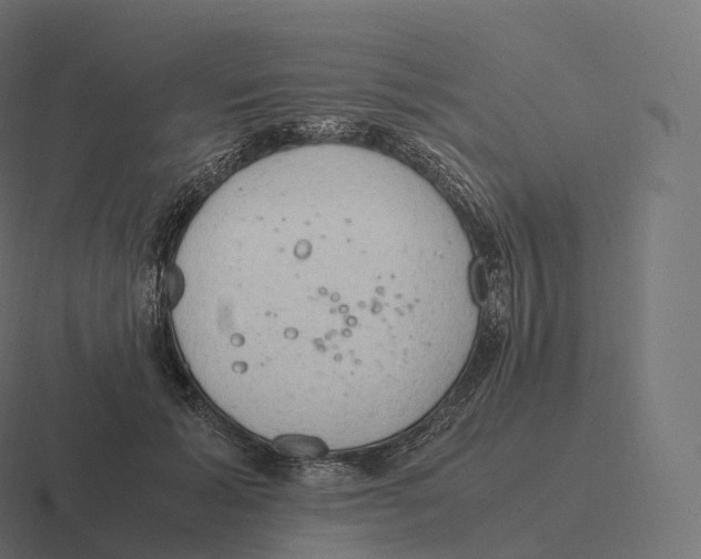 X0000116310605200912291452