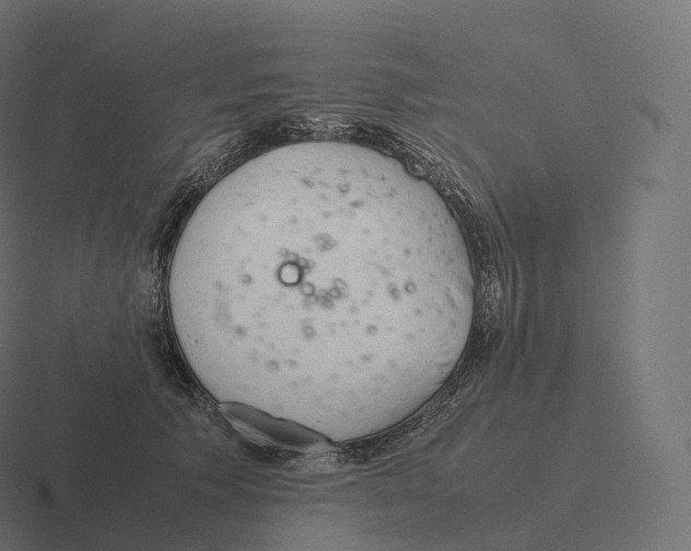 X0000116310609200912291452