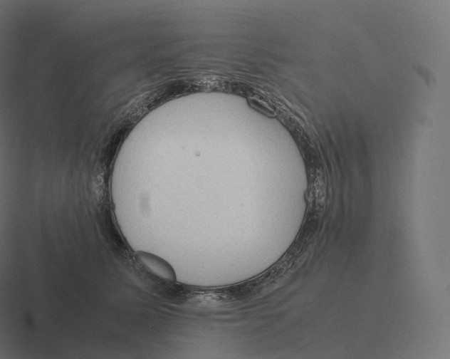 X0000116310611200912291452