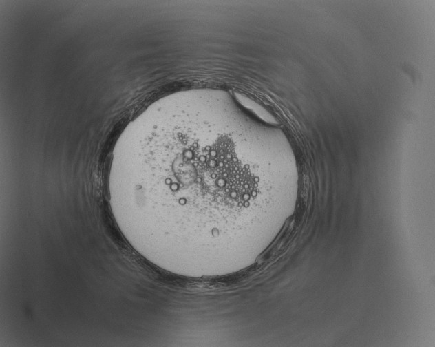 X0000116310613200912291452