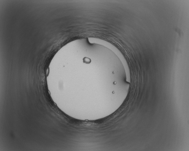 X0000116310617200912291452