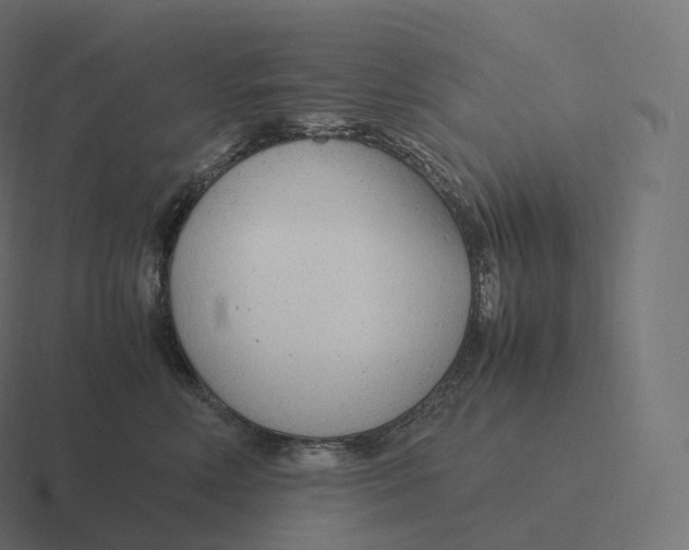 X0000116310618200912291452