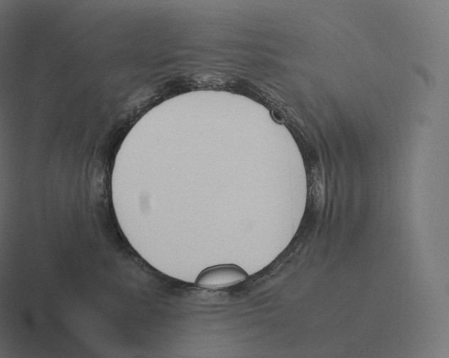 X0000116310619200912291452