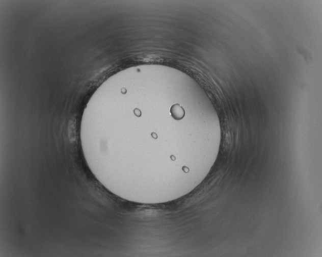 X0000116310620200912291452