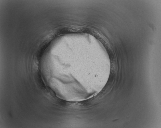 X0000116310621200912291452