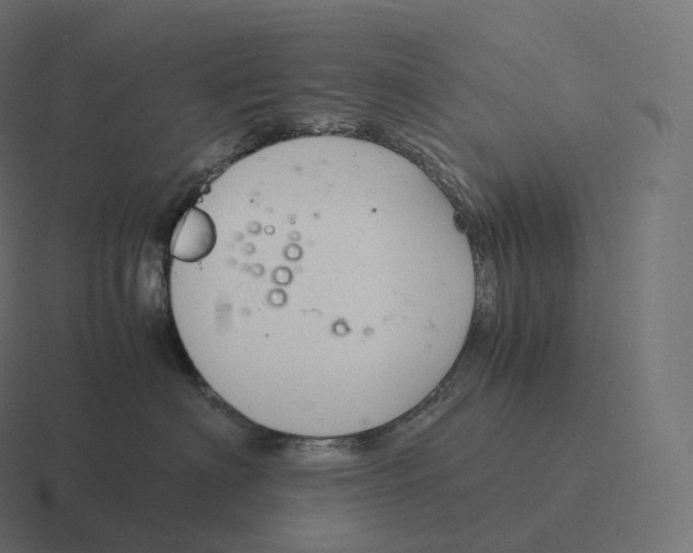 X0000116310622200912291452