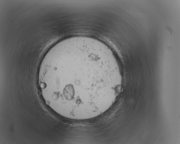 X0000116310625200912291452