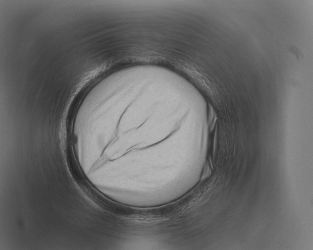 X0000116310630200912291452