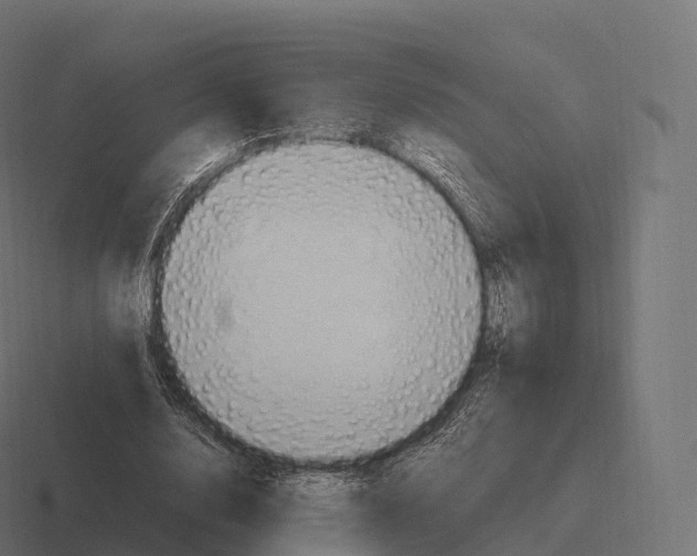 X0000116310632200912291452