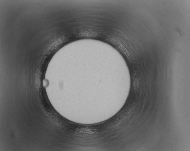 X0000116310635200912291452