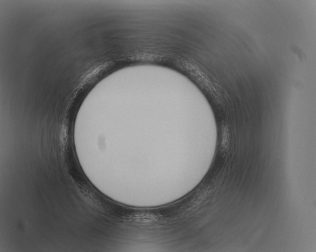 X0000116310636200912291452