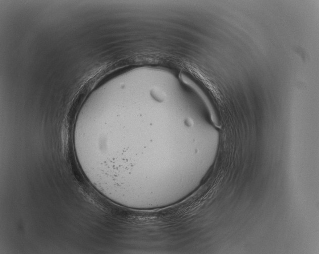 X0000116310637200912291452