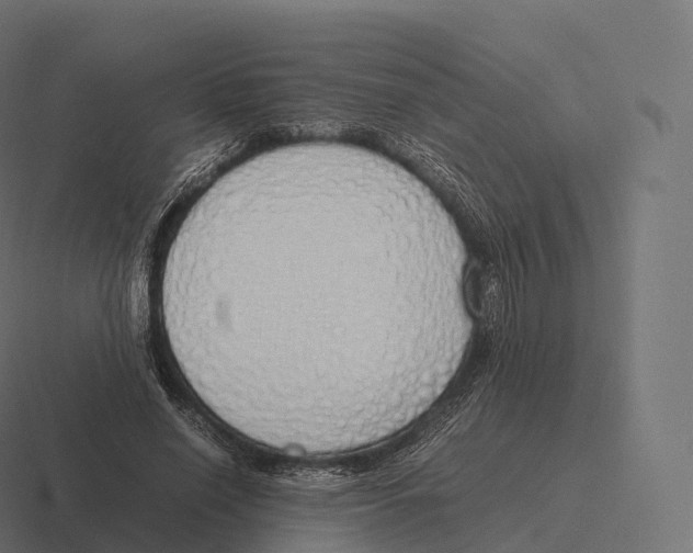 X0000116310638200912291452