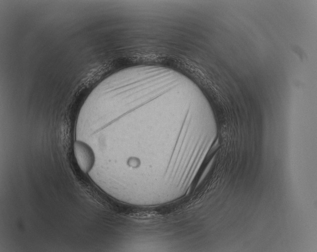 X0000116310642200912291452