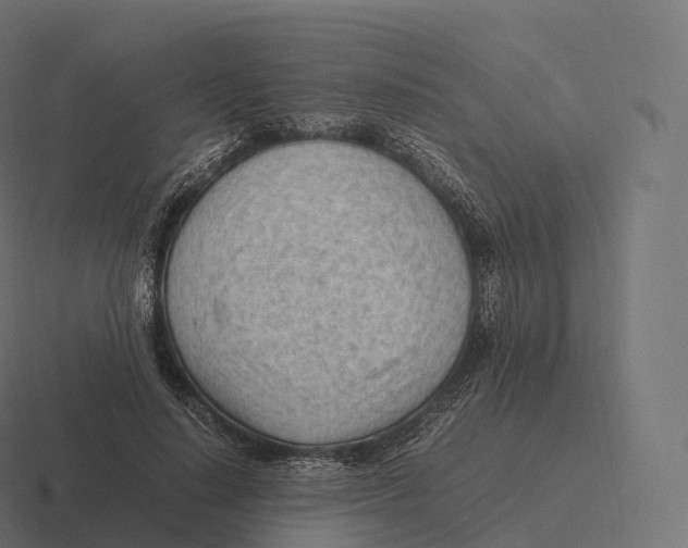 X0000116310644200912291452