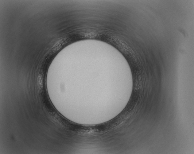 X0000116310646200912291452