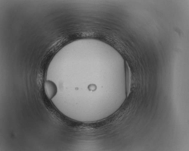 X0000116310648200912291452