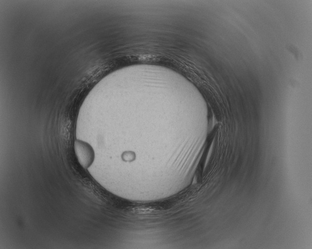 X0000116310650200912291452