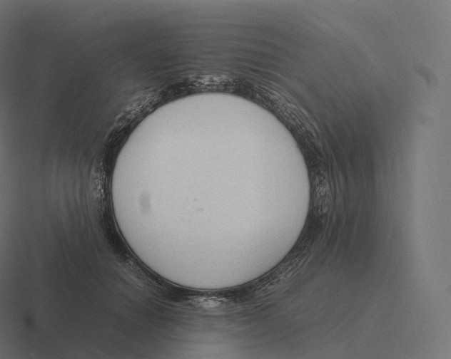 X0000116310654200912291452