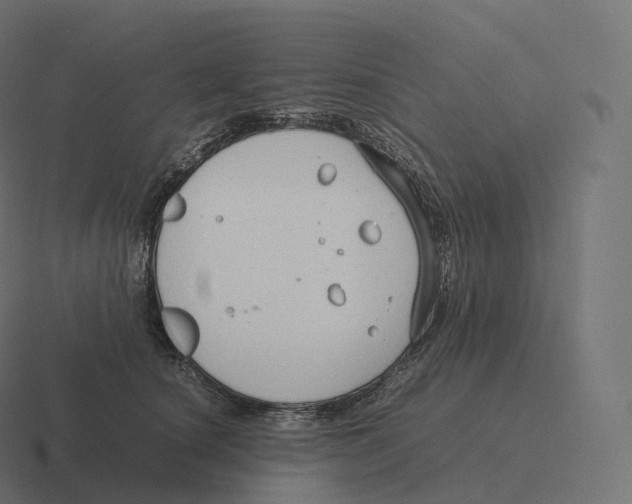 X0000116310660200912291452