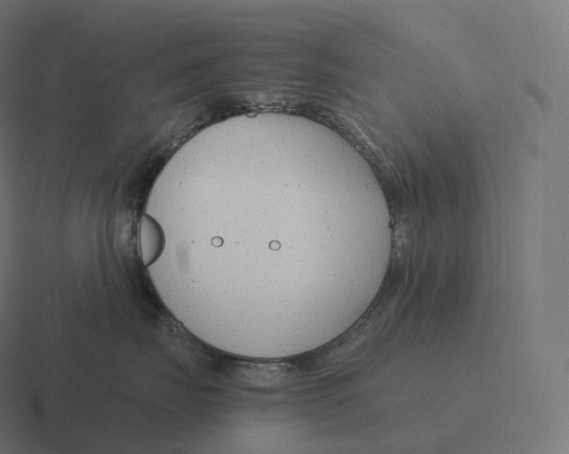 X0000116310671200912291452