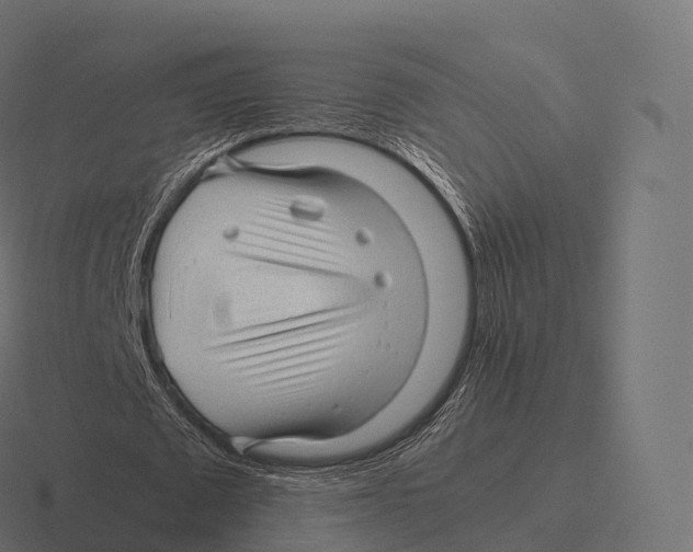 X0000116310673200912291452