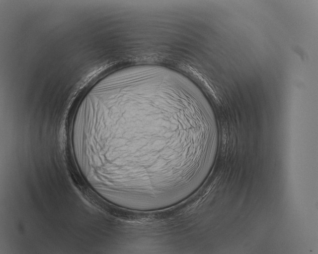 X0000116310674200912291452