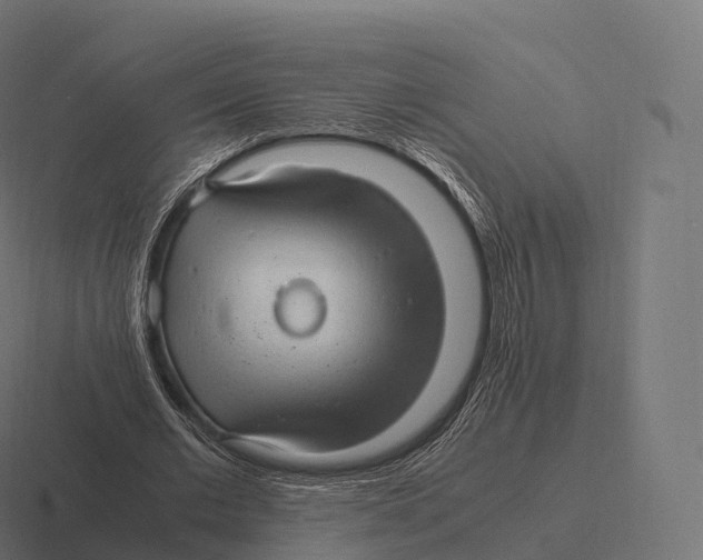 X0000116310677200912291451