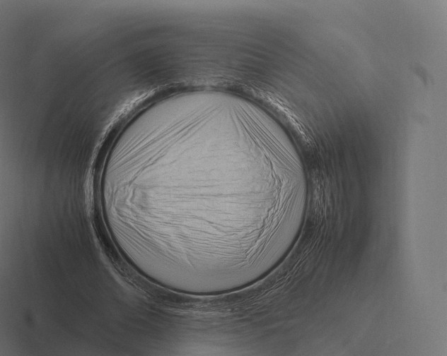 X0000116310678200912291451